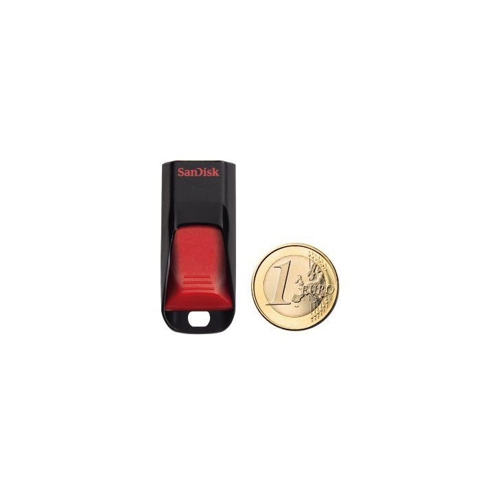 SanDisk Cruzer Blade 32GB USB flash drive USB Type-A 2.0 Black