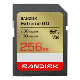 SanDisk Extreme GO 256 GB SDXC UHS-I