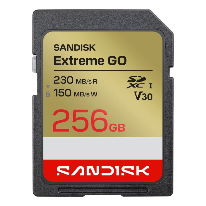 SanDisk Extreme GO 256 GB SDXC UHS-I