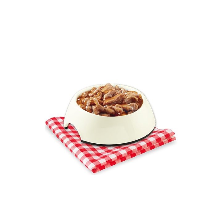 STUZZY Sfilaccetti with white fish meat - wet dog food - 100g