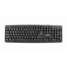 Esperanza TKR101 keyboard Office USB QWERTY English Russian Black