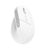 Trust Bayo+ mouse Office Right-hand RF Wireless + Bluetooth Optical 2400 DPI
