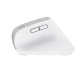 Trust Bayo+ mouse Office Right-hand RF Wireless + Bluetooth Optical 2400 DPI