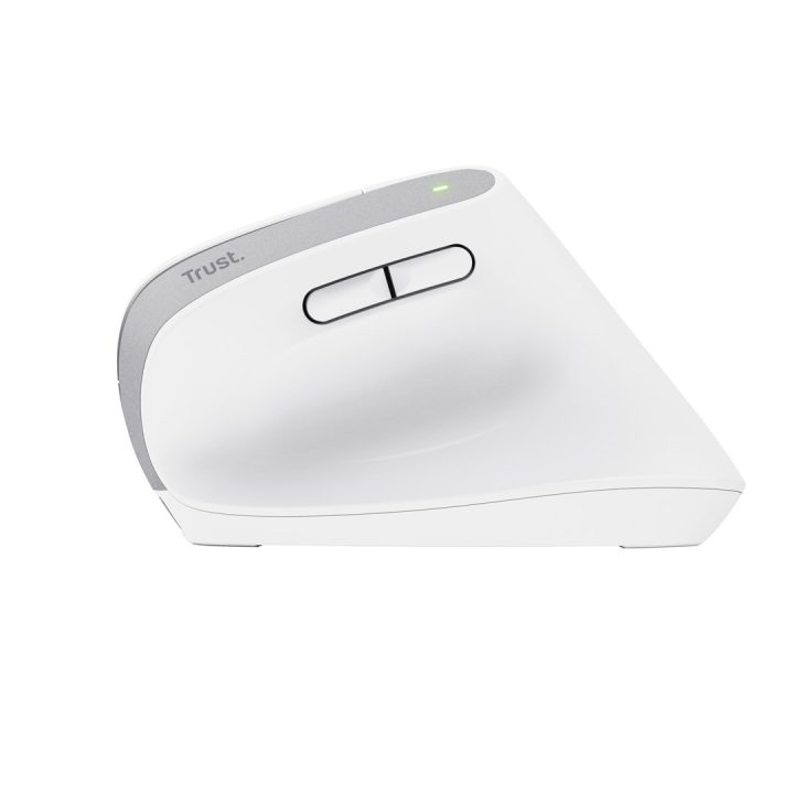 Trust Bayo+ mouse Office Right-hand RF Wireless + Bluetooth Optical 2400 DPI