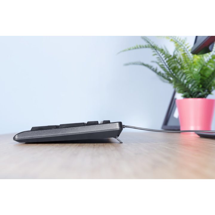 Trust Primo keyboard USB QWERTY US English Black