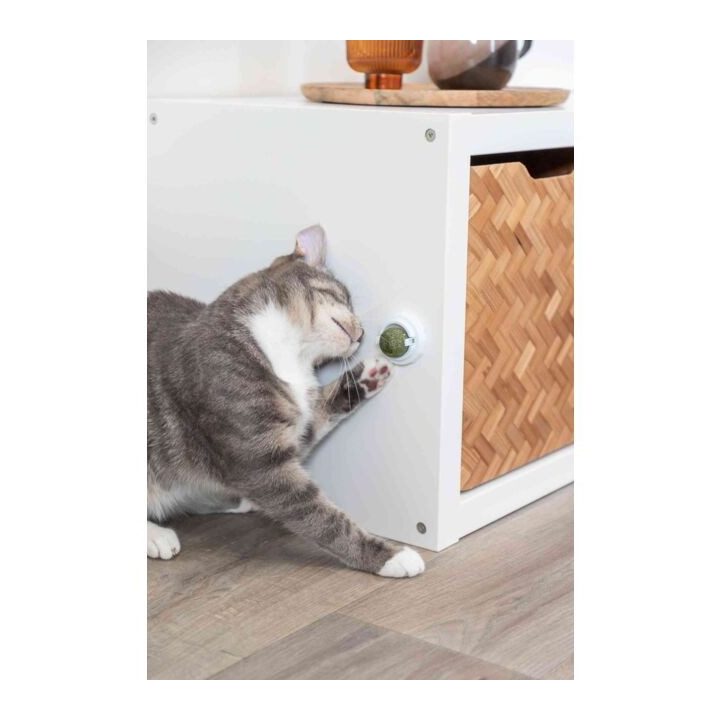 TRIXIE Catnip ball - toy for cat
