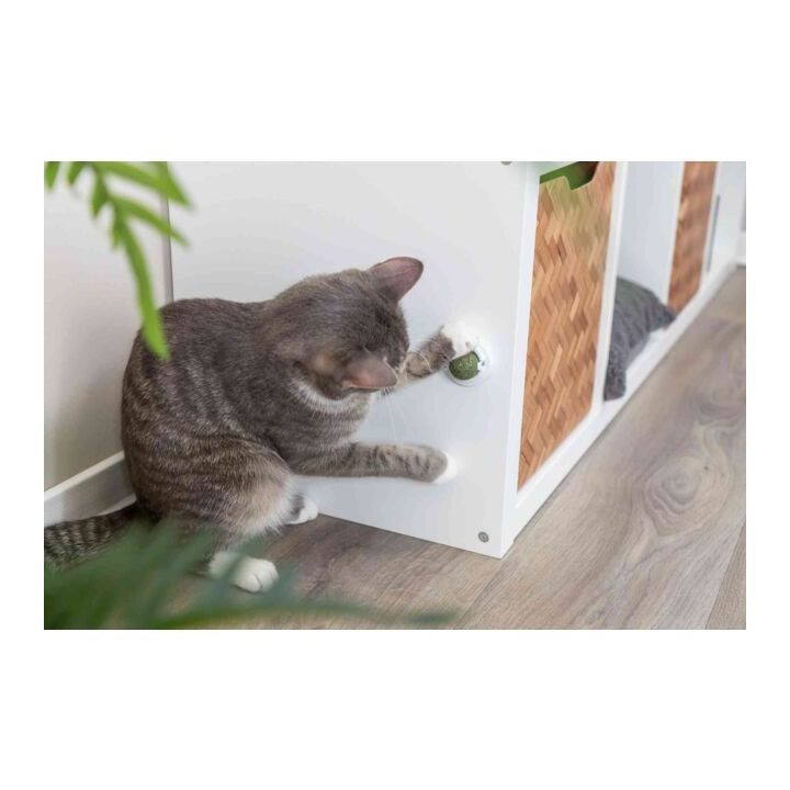 TRIXIE Catnip ball - toy for cat