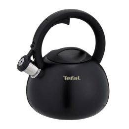 Non-Electric Kettle TEFAL N4180410 Black Matte