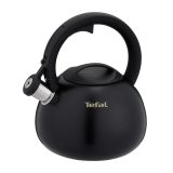 Non-Electric Kettle TEFAL N4180410 Black Matte