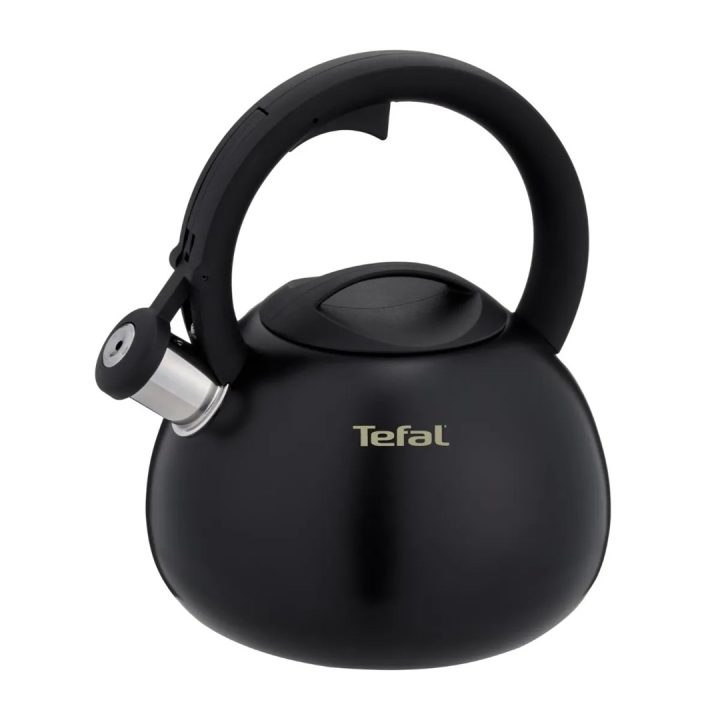 Non-Electric Kettle TEFAL N4180410 Black Matte
