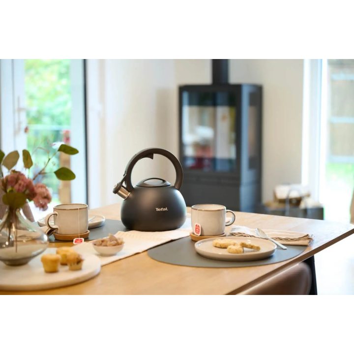Non-Electric Kettle TEFAL N4180410 Black Matte