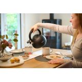 Non-Electric Kettle TEFAL N4180410 Black Matte