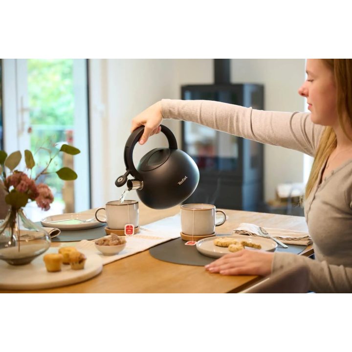 Non-Electric Kettle TEFAL N4180410 Black Matte