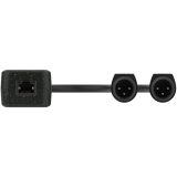Turtle Dual XLR Output - two-channel Dante digital-to-analogue XLR adapter