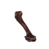 UNISZKI Deer Bone Medium - Treat for Dogs - 1 Piece