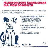 TEO Rich in beef - dry dog food - 15kg