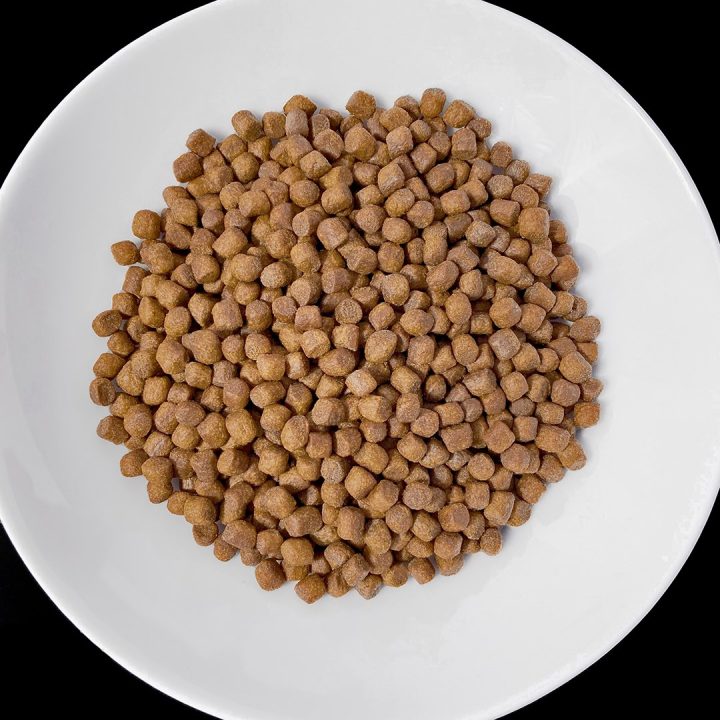 VET RESPONSE Renal - dry dog food - 8kg