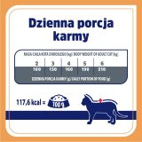 VET RESPONSE Renal - wet cat food - 85g