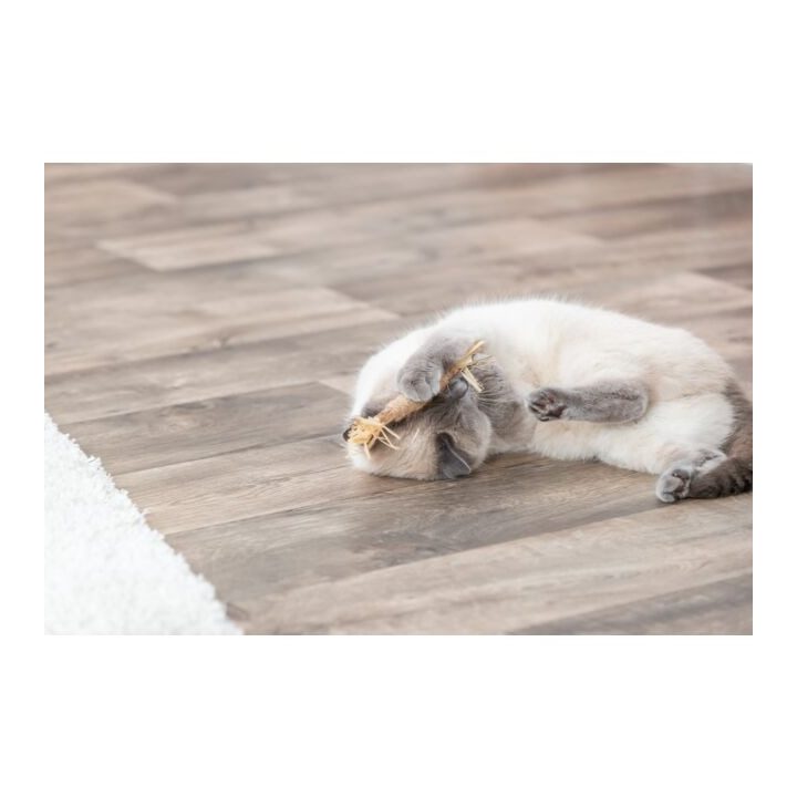 TRIXIE Matatabi - toy for cat - 24cm