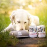 VETEXPERT Raw Paleo Adult Monoprotein Pork - wet dog food - 800 g