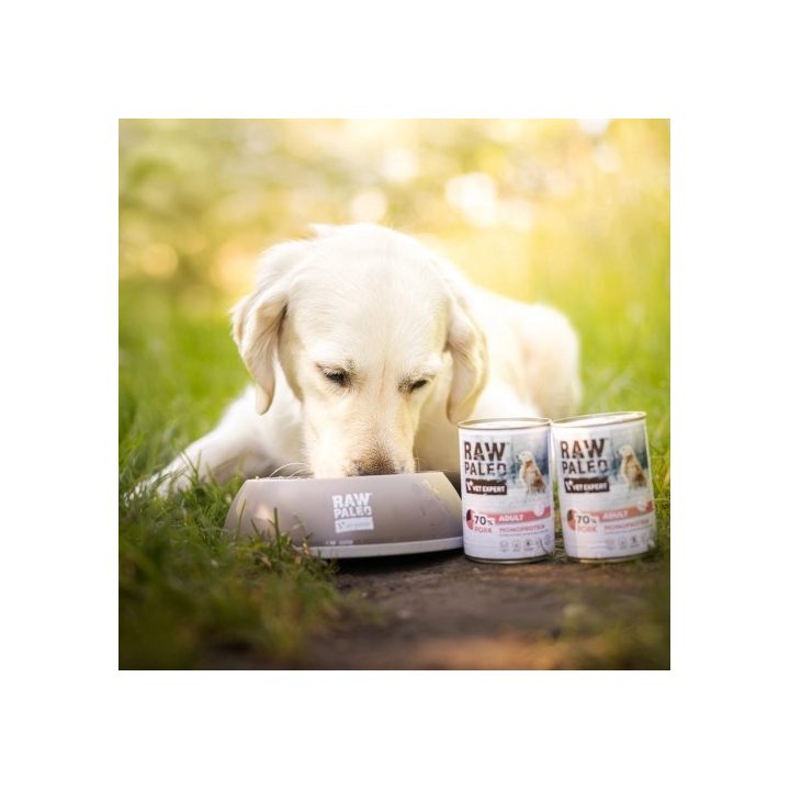 VETEXPERT Raw Paleo Adult Monoprotein Pork - wet dog food - 800 g