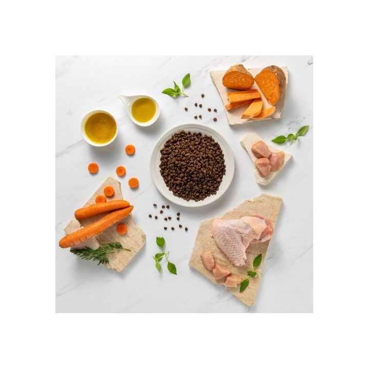VETEXPERT Raw Paleo Ultra Mini Puppy Turkey - dry food for puppies - 8 kg