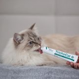 VETEXPERT TrichoCat - anti-hairball paste for cats - 50 g