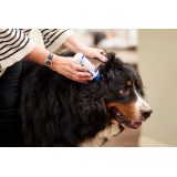 VIRBAC EpiOtic Ear Cleanser - ear care liquid for dogs and cats - 125ml