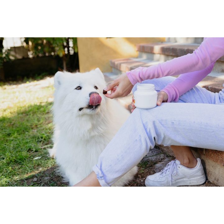 VIRBAC Movoflex M Joints - supplements for dogs - 30 pcs