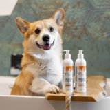 VETEXPERT Detox Care Vitalizing - shampoo for dogs and cats - 250 ml