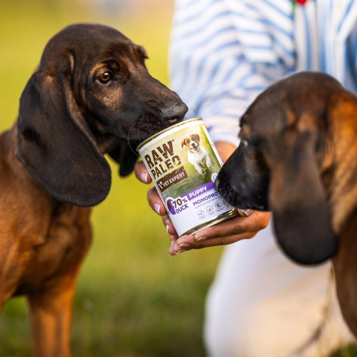 VETEXPERT Raw Paleo Puppy Monoprotein Duck - wet food for puppies - 400 g