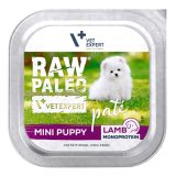 VETEXPERT Raw Paleo Pâte Mini Puppy Lamb - wet dog food - 150g