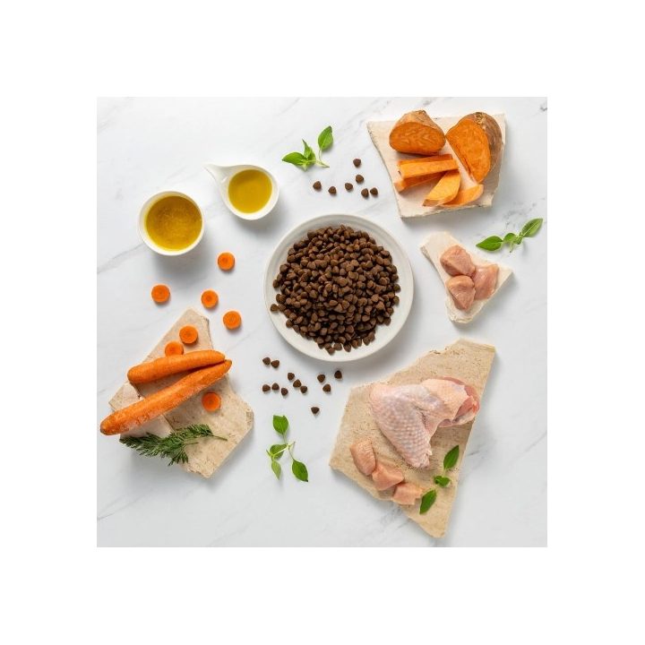 VETEXPERT Raw Paleo Ultra Medium&Large Adult Turkey - dry dog ??food - 2 kg