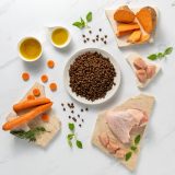 VETEXPERT Raw Paleo Ultra Mini Adult Turkey - dry dog ??food - 2 kg