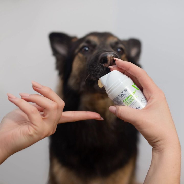 VETEXPERT Caryodent Enzymatic Toothpaste - enzymatic toothpaste for dogs and cats - 50 ml