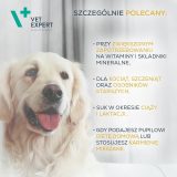 VETEXPERT Multivitamin - vitamin and mineral preparation for dogs and cats - 30 caps.
