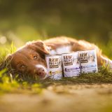 VETEXPERT Raw Paleo Adult Monoprotein Duck - wet dog food - 400 g