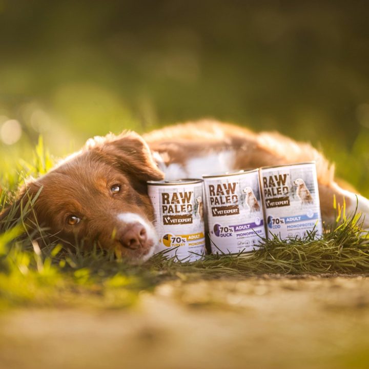 VETEXPERT Raw Paleo Adult Monoprotein Duck - wet dog food - 400 g