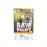 VETEXPERT Raw Paleo Kitten Cat Turkey - wet food for kittens - 100 g