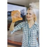 Window Cloth Vileda 1 pc(s)