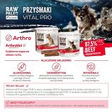 VETEXPERT Raw Paleo Vital Pro Arthro Beef Mini Mono - dog treat - 100g