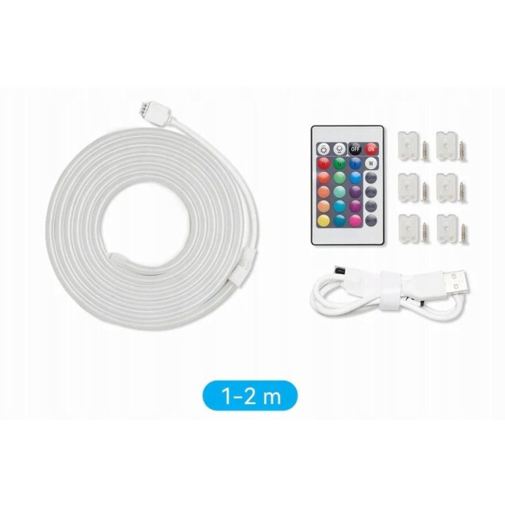 Vention Silicone Neon LED strip with remote control 12V 2m