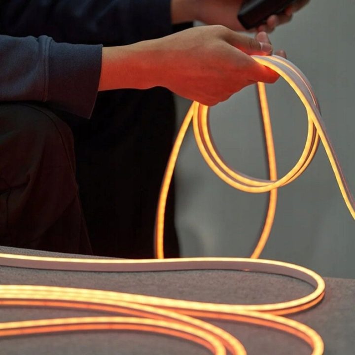 Vention Silicone Neon LED strip with remote control 12V 2m