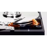 Western Digital Blue internal hard drive 2 TB 7200 RPM 256 MB 3.5 Serial ATA