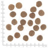 WOLFSBLUT VetLine Weight Management Turkey - dry dog food - 12kg