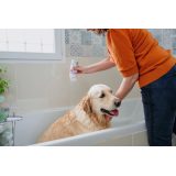 VIRBAC Allerderm Normal - shampoo for dogs and cats - 250ml