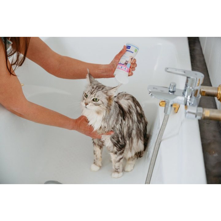VIRBAC Allerderm sensitive skin - shampoo for dogs and cats - 250 ml