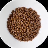 VET RESPONSE Gastrointestinal - dry cat food - 1 6kg
