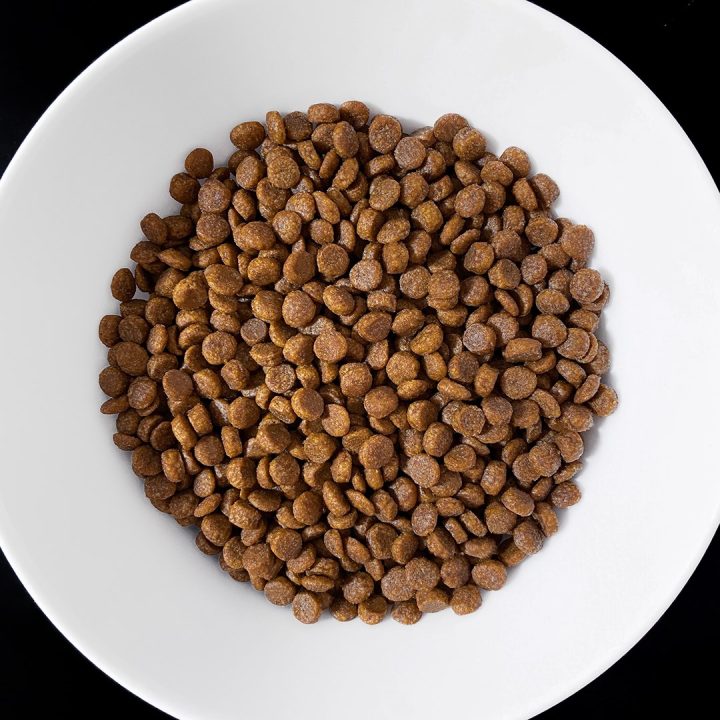 VET RESPONSE Gastrointestinal - dry cat food - 1 6kg