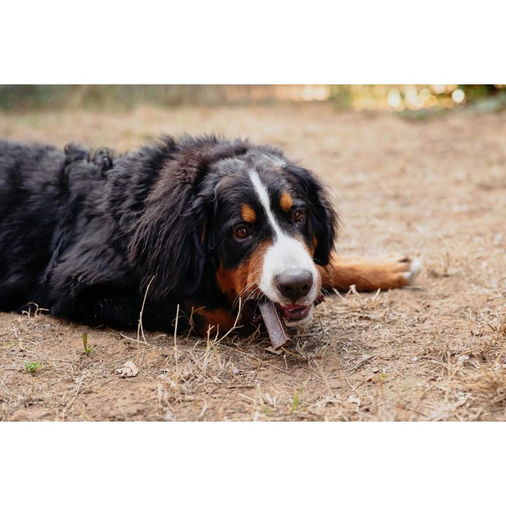 VIRBAC Veggiedent Zen L -dog treat - 502 5g